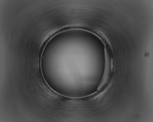 X0000091680781200708301519