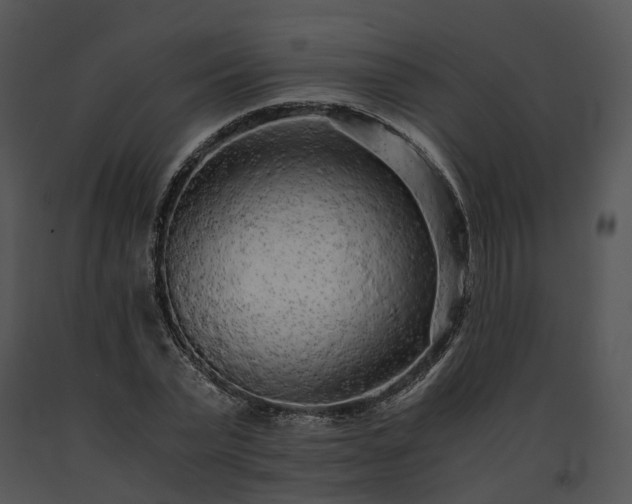 X0000091680783200708301519