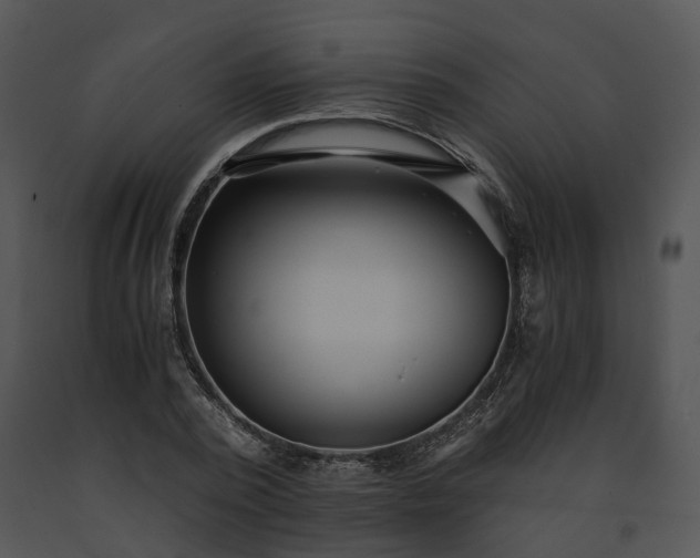 X0000091680784200708301519
