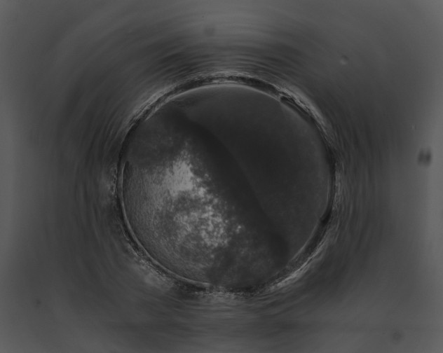 X0000091680785200708301519