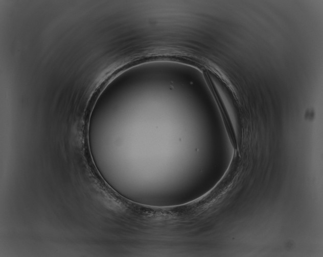 X0000091680786200708301519