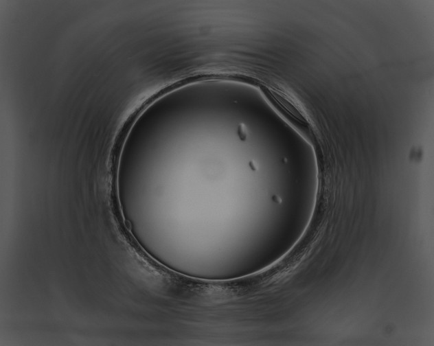 X0000091680787200708301519