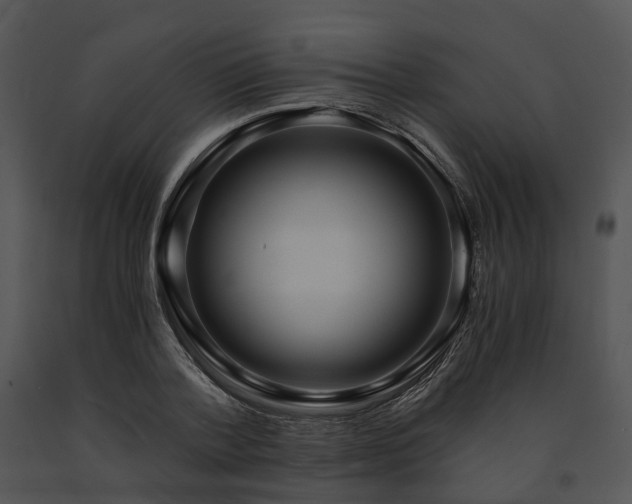 X0000091680788200708301519