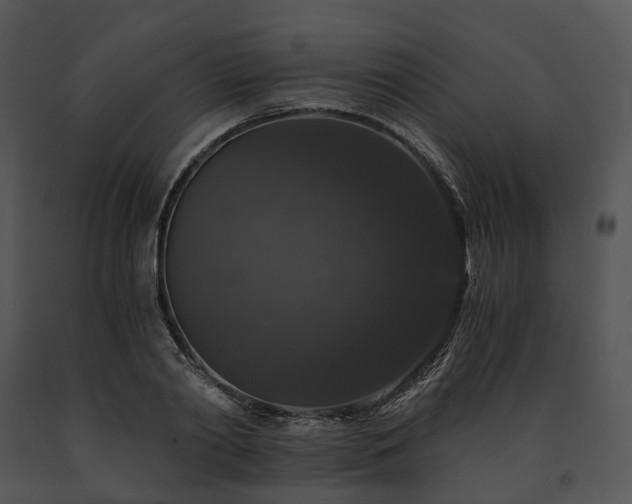 X0000091680790200708301519
