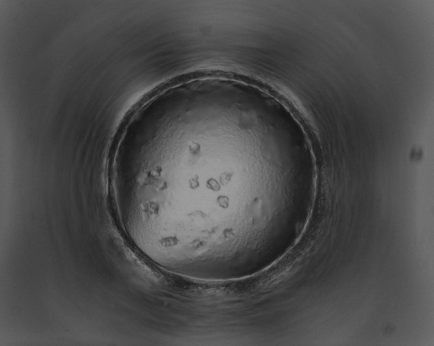 X0000091680791200708301519