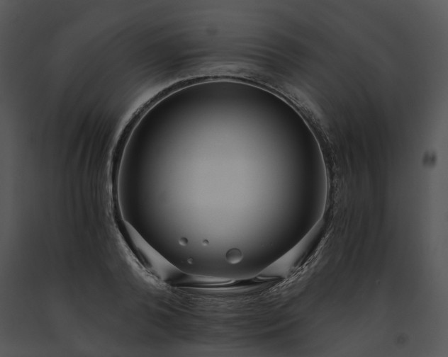 X0000091680792200708301519