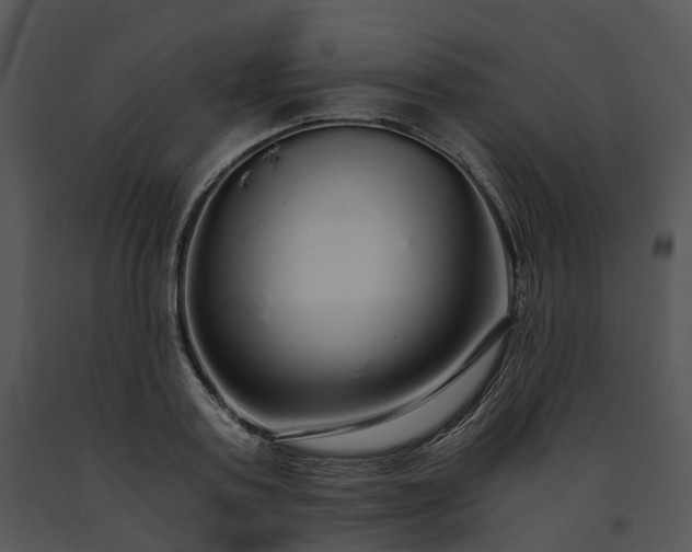 X0000091680795200708301519