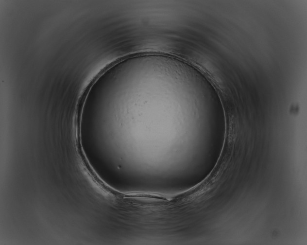 X0000091680796200708301519