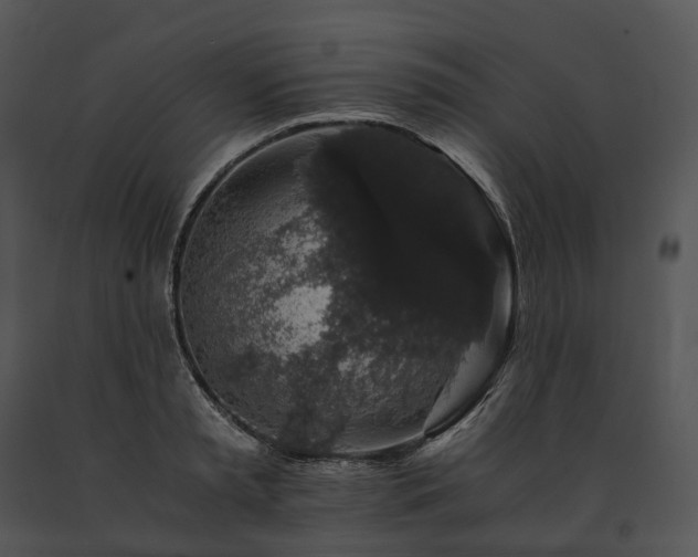 X0000091680797200708301519