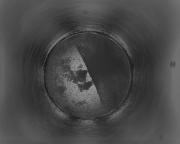 X0000091680798200708301519
