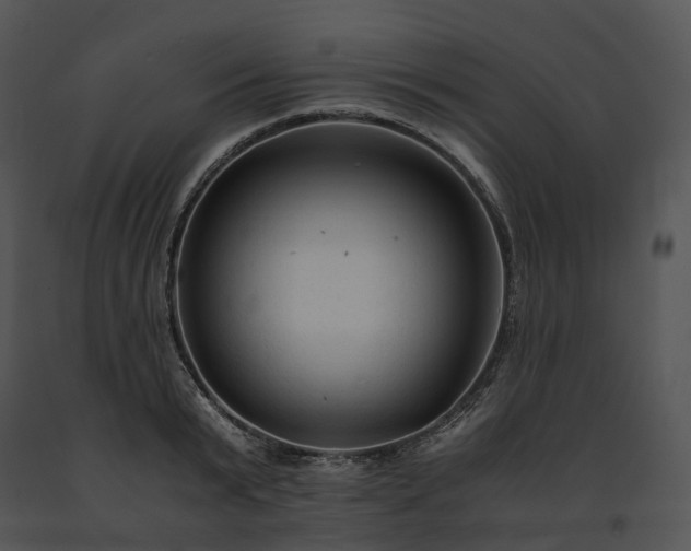 X0000091680799200708301519