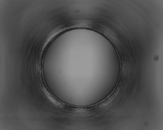X0000091680800200708301519