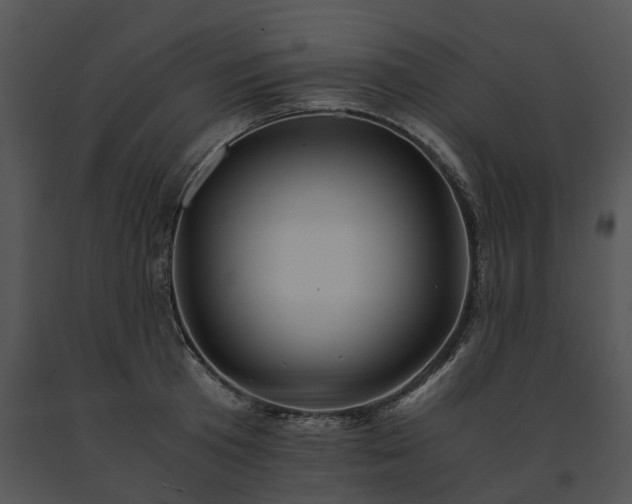 X0000091680801200708301518