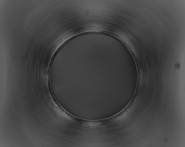 X0000091680802200708301518