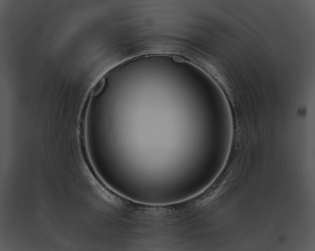 X0000091680803200708301518