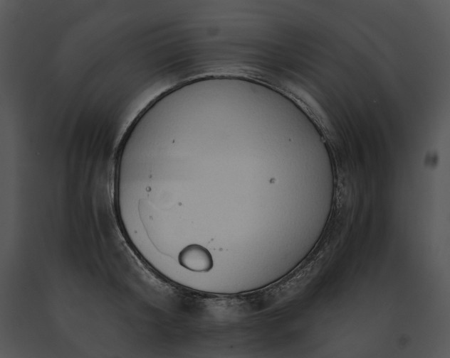 X0000091680804200708301518