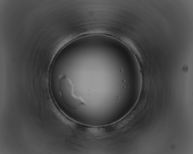 X0000091680805200708301518