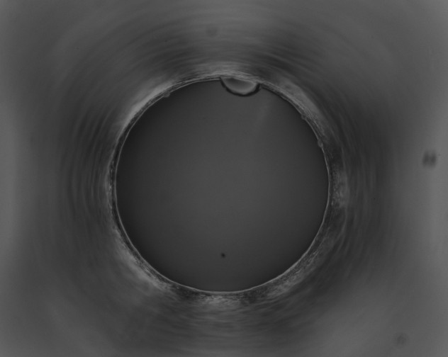 X0000091680806200708301518