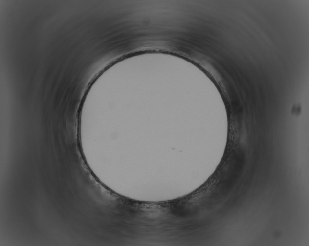 X0000091680807200708301518