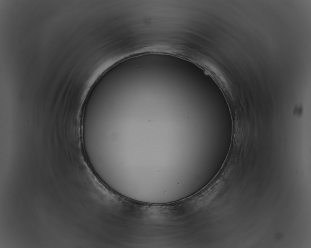 X0000091680808200708301518