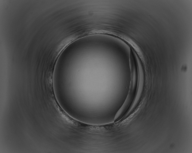 X0000091680809200708301518