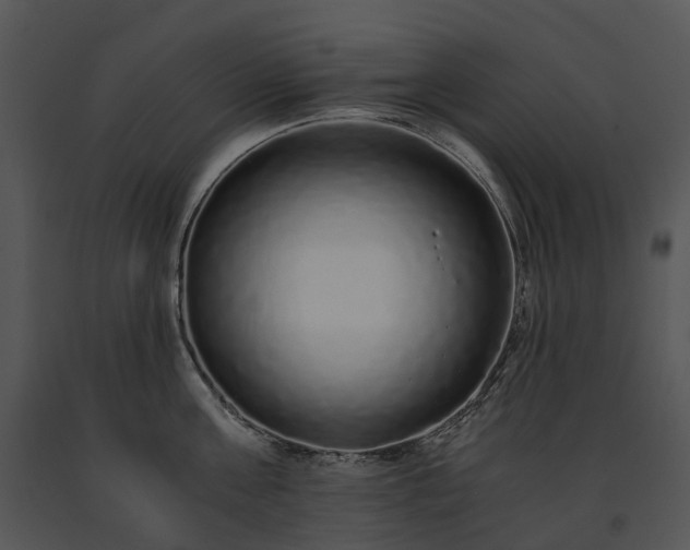 X0000091680811200708301518