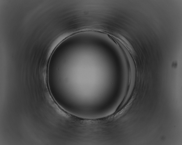 X0000091680812200708301518