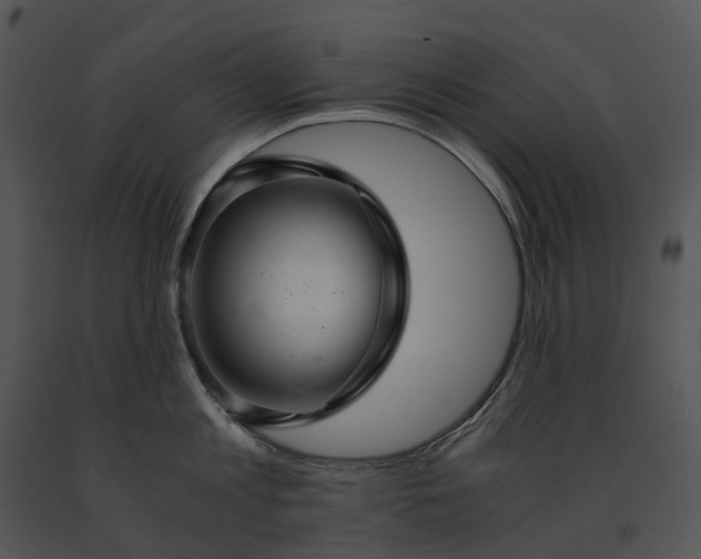 X0000091680813200708301518