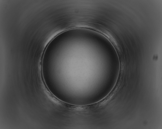 X0000091680814200708301518
