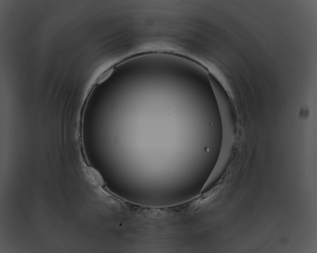 X0000091680815200708301518