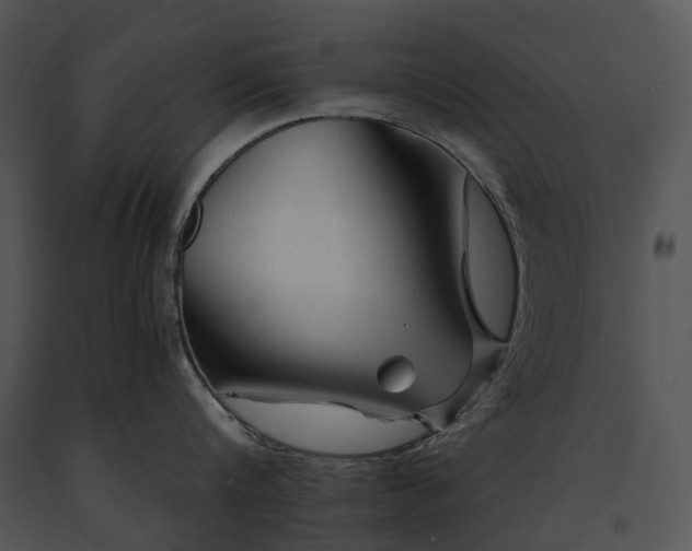 X0000091680816200708301518