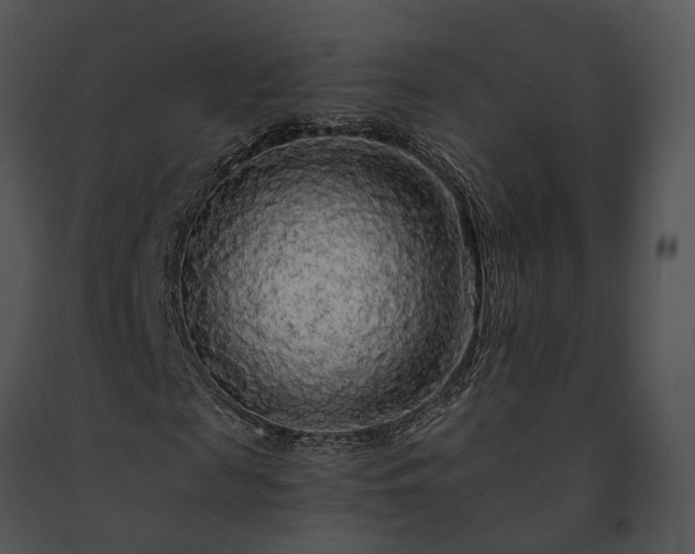 X0000091680817200708301518