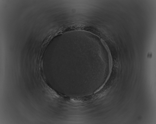 X0000091680818200708301518