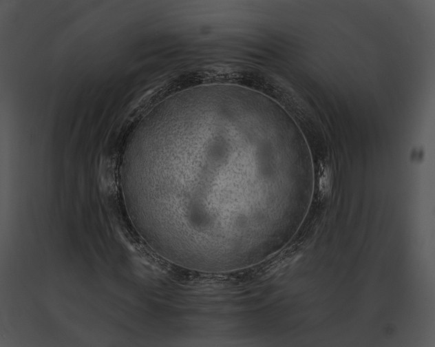 X0000091680819200708301518