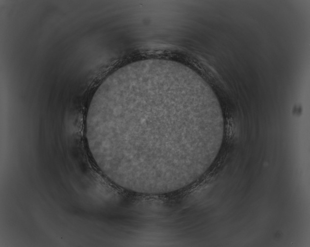 X0000091680820200708301518