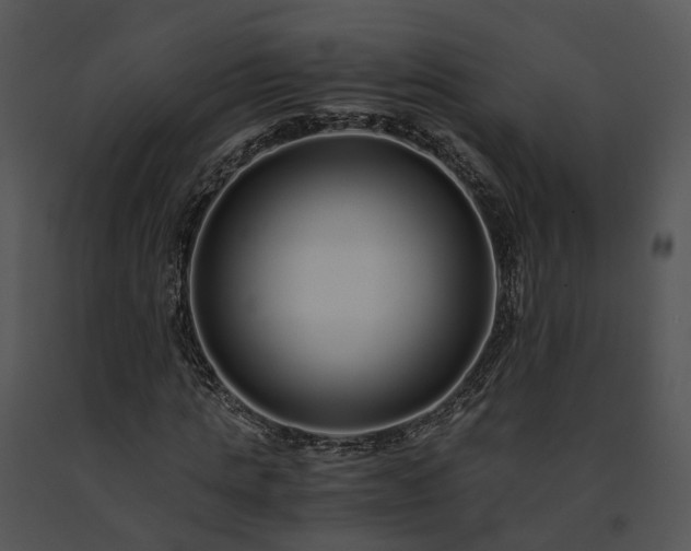 X0000091680821200708301518