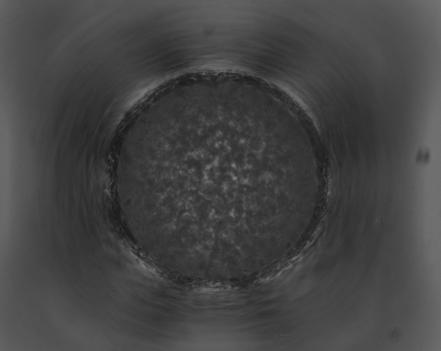 X0000091680823200708301518