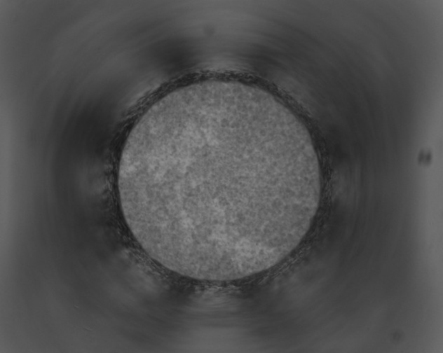 X0000091680824200708301518