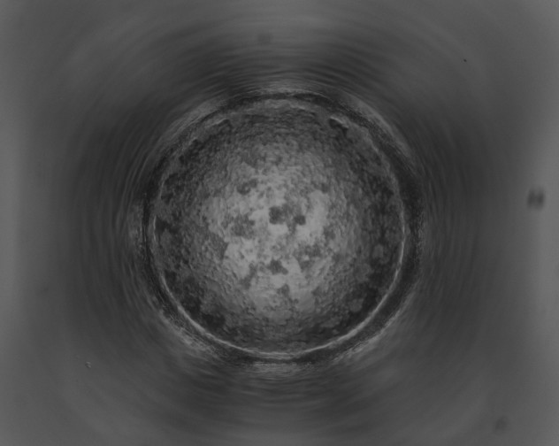 X0000091680825200708301518