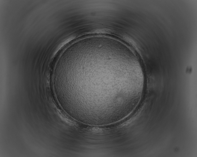 X0000091680827200708301518