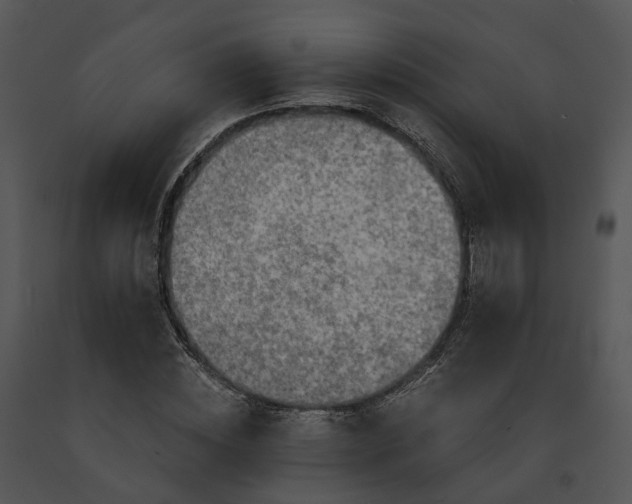 X0000091680828200708301518