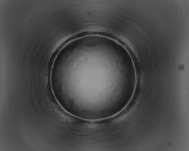 X0000091680829200708301518