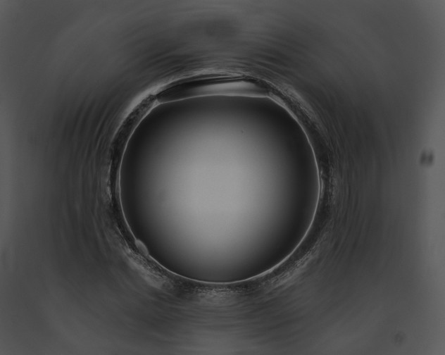 X0000091680830200708301518