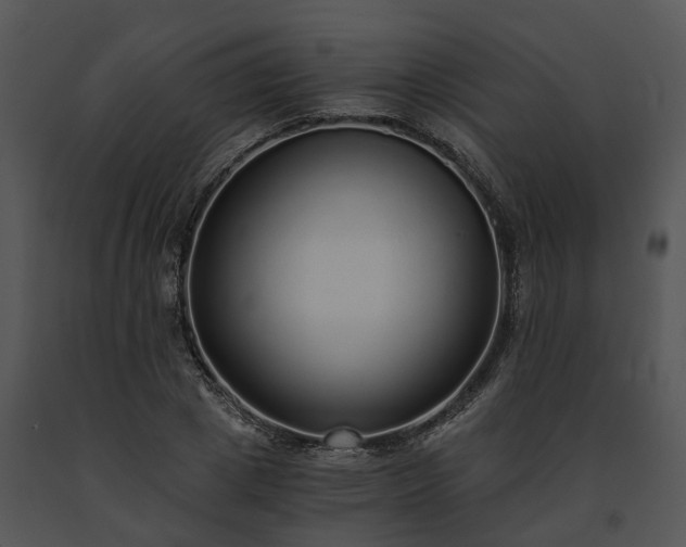 X0000091680833200708301518