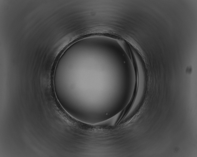 X0000091680834200708301518