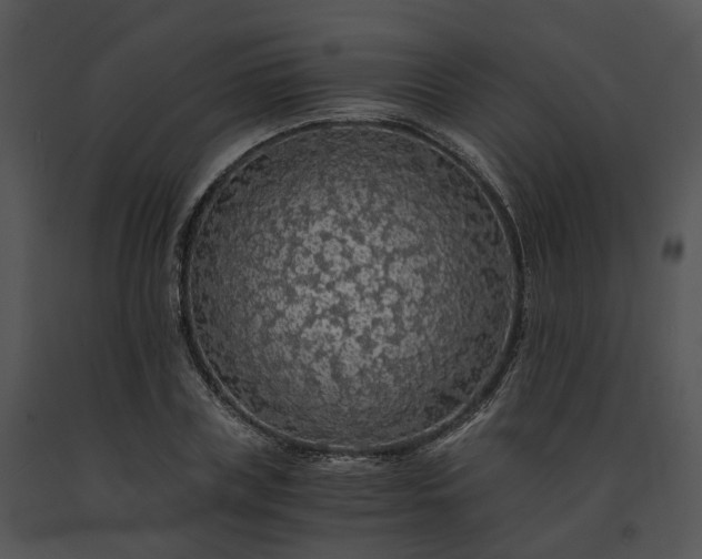 X0000091680835200708301518