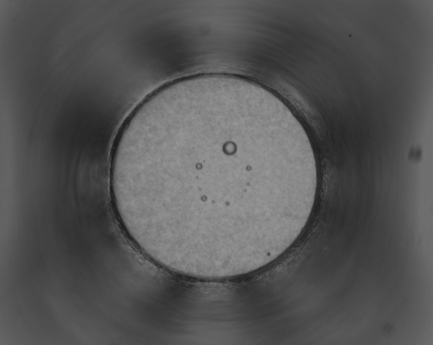 X0000091680836200708301518