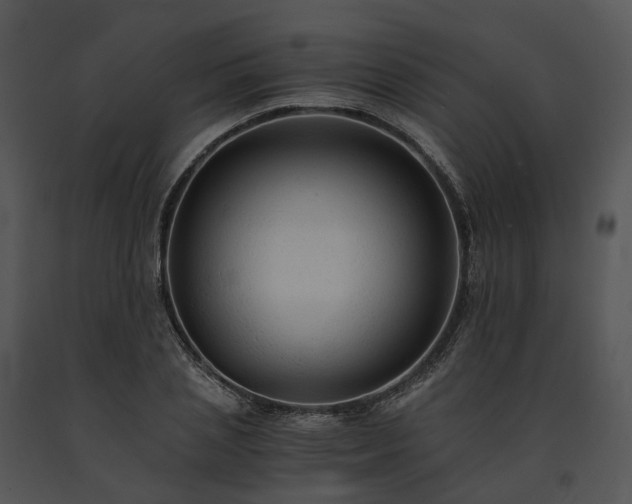X0000091680837200708301518