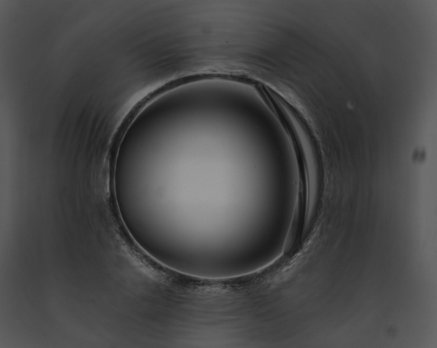 X0000091680838200708301518