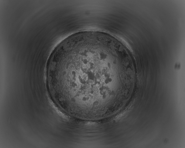 X0000091680839200708301518